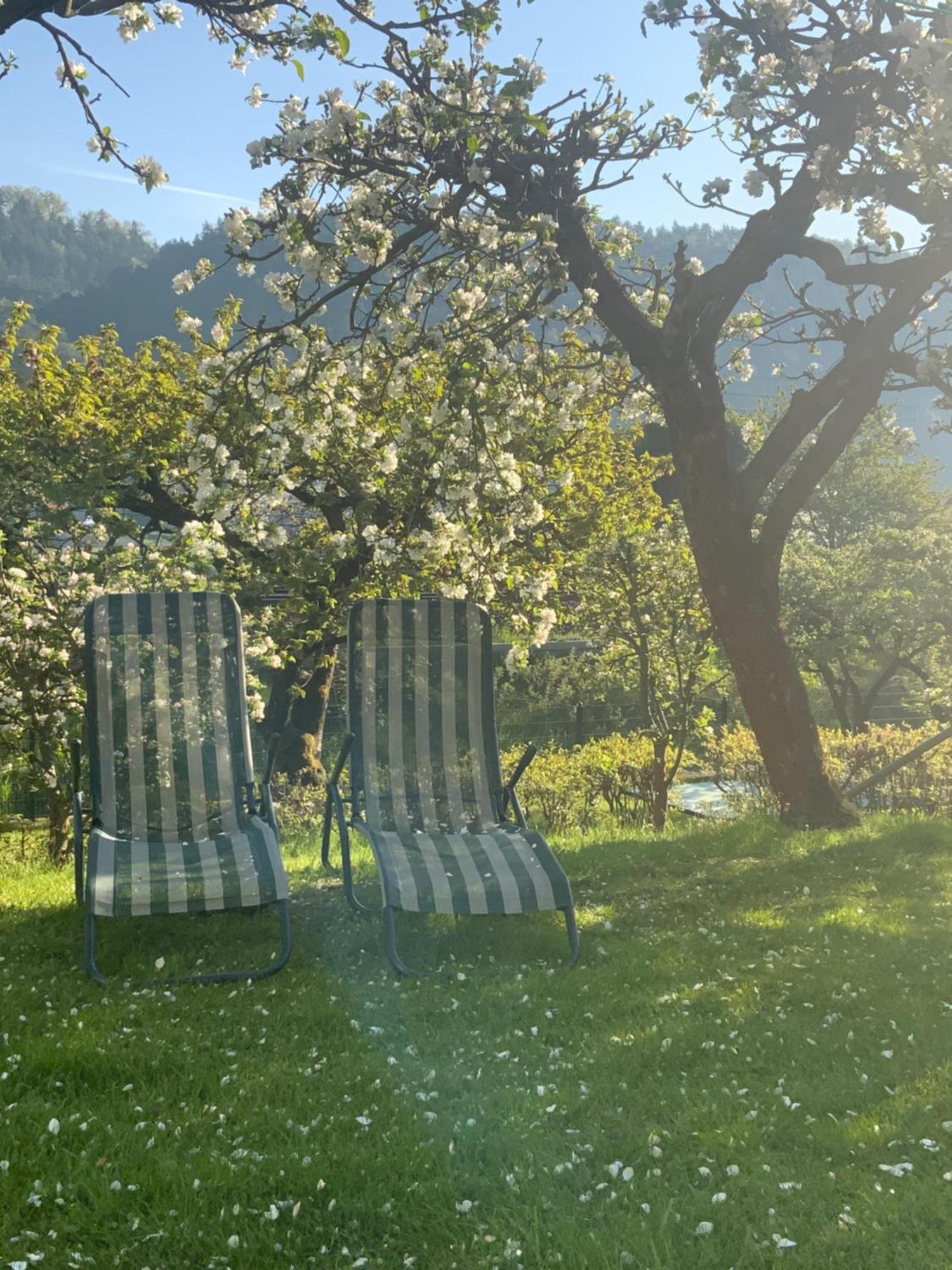 Pension Hoenel-Hof Bad Schandau Εξωτερικό φωτογραφία