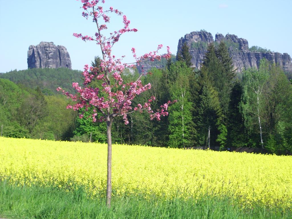 Pension Hoenel-Hof Bad Schandau Εξωτερικό φωτογραφία