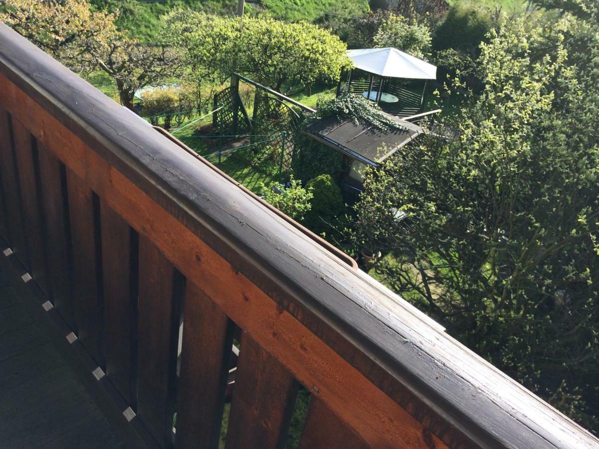Pension Hoenel-Hof Bad Schandau Εξωτερικό φωτογραφία